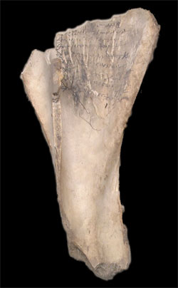 Egyptian loan record on shoulder blade of an ox